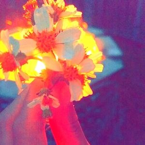 Meet your Posher, Kaylie